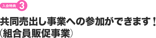 【入会特典3】共同売出し事業への参加ができます　（組合員販促事業）